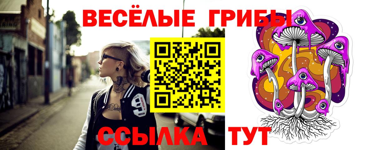 Псилоцибиновые грибы GOLDEN TEACHER  Вход с VPN  Сергиев Посад 