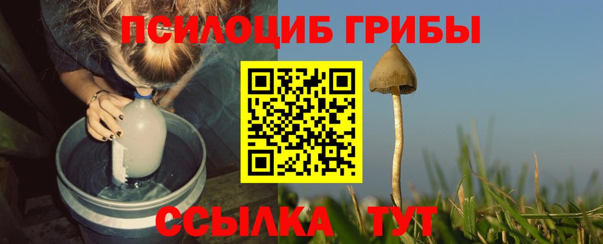 Псилоцибиновые грибы Psilocybine cubensis Сергиев Посад